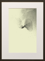 Chapman Starling Drawing Still