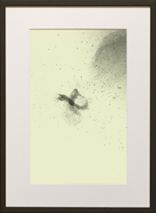 Chapman Starling Drawing Still