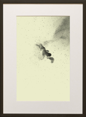 Chapman Starling Drawing Still