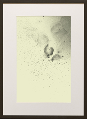 Chapman Starling Drawing Still