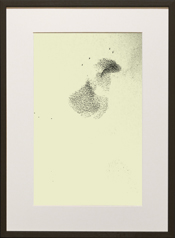Chapman Starling Drawing Still