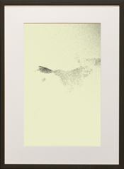 Chapman Starling Drawing Still
