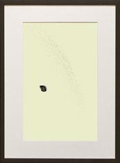 Chapman Starling Drawing Still