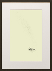 Chapman Starling Drawing Still
