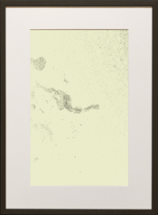 Chapman Starling Drawing Still