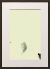Chapman Starling Drawing Still