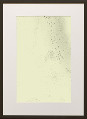 Chapman Starling Drawing Still