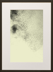 Chapman Starling Drawing Still