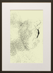 Chapman Starling Drawing Still