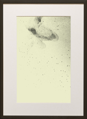 Chapman Starling Drawing Still