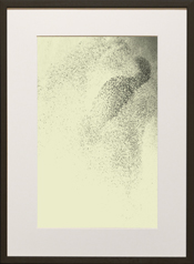 Chapman Starling Drawing Still