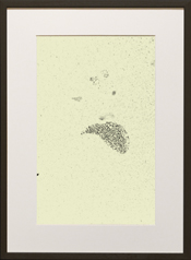 Chapman Starling Drawing Still