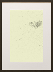 Chapman Starling Drawing Still