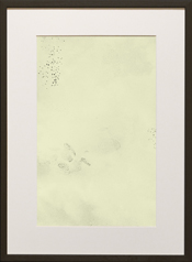 Chapman Starling Drawing Still