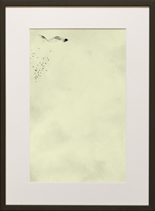 Chapman Starling Drawing Still