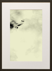 Chapman Starling Drawing Still