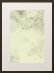 Chapman Starling Drawing Still