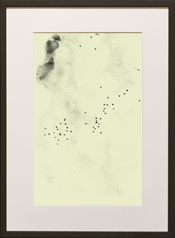 Chapman Starling Drawing Still