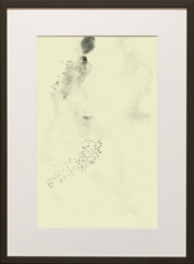 Chapman Starling Drawing Still
